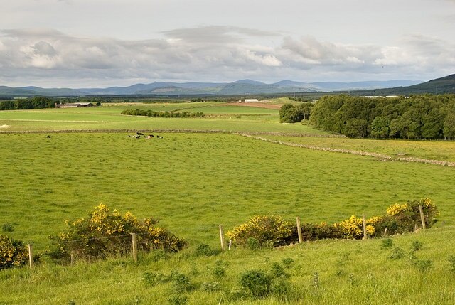 Fields near Northton - 2