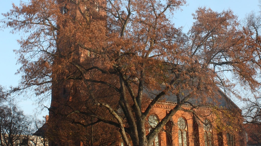 Photo "Südliche Innenstadt" by Dguendel (page does not exist) (CC BY) / Cropped from original