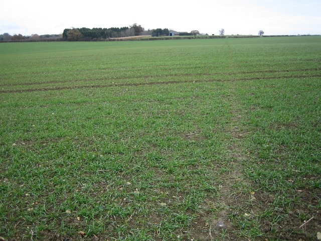 Kuva ”Standon” käyttäjältä Nigel Cox (CC BY-SA) / rajattu alkuperäisestä kuvasta