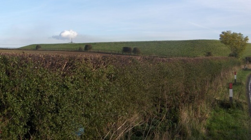 Foto „Redmarshall“ von Mick Johnson (CC BY-SA)/zugeschnittenes Original