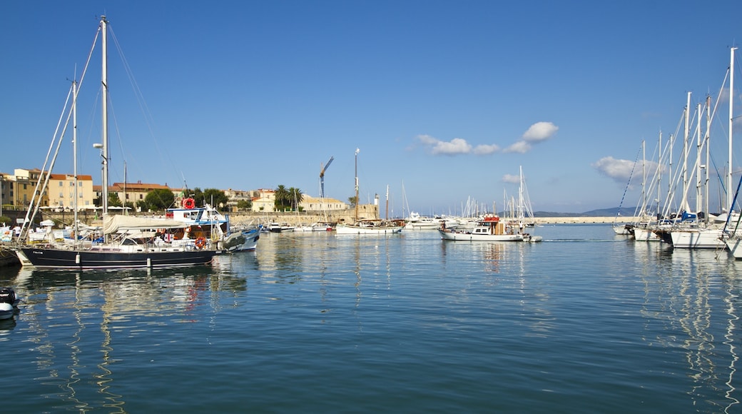 Foto „Hafen von Alghero“ von trolvag (CC BY-SA)/zugeschnittenes Original