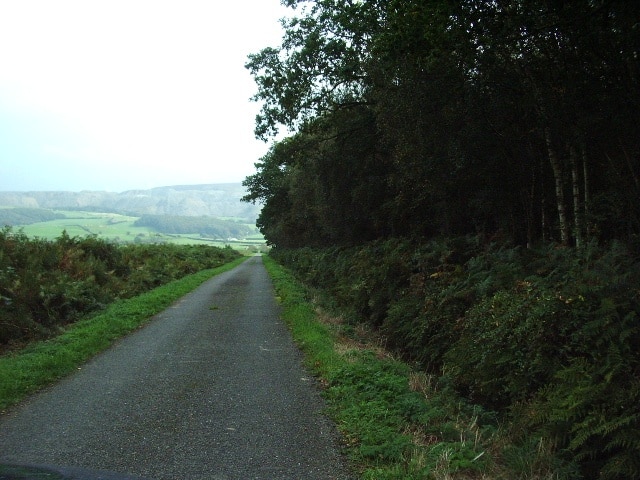 Foto “Angerton” tomada por Alexander P Kapp (CC BY-SA); recorte de la original