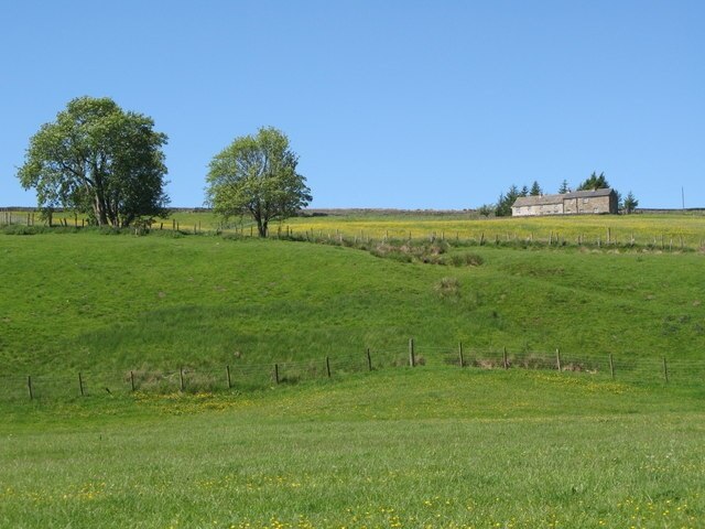 Pastures below The Highlands (2)