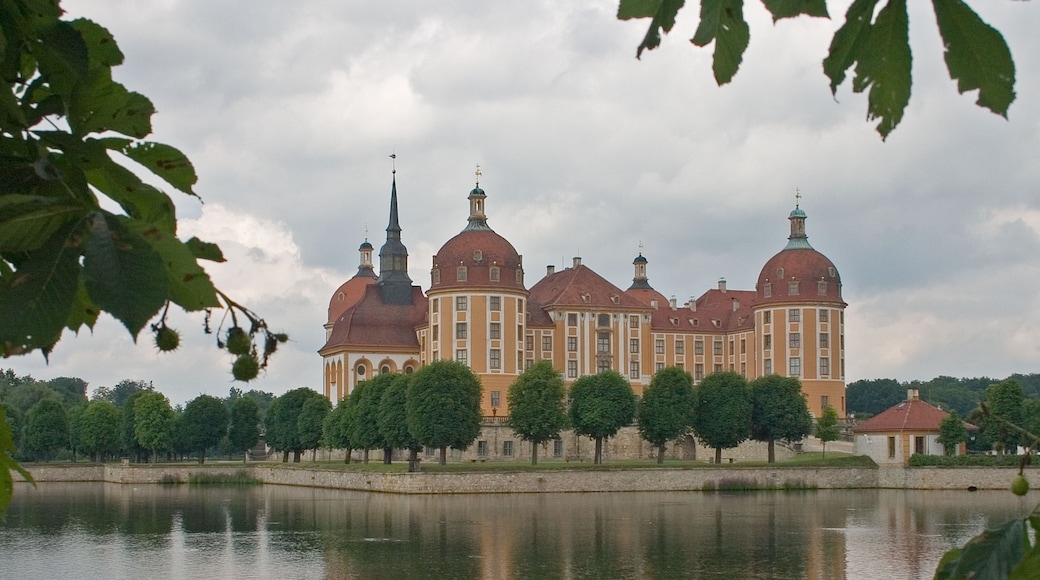 ภาพ "ปราสาท Moritzburg" โดย Akumiszcza (CC BY) / ตัดภาพจากขนาดต้นฉบับ
