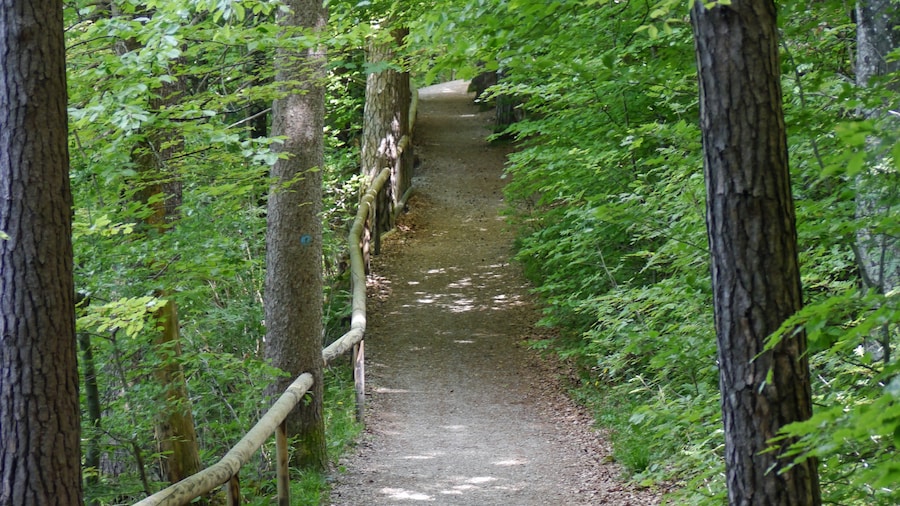 Photo "Naturschutzgebiet Eggstätt-Hemhofer-Seenplatte, Landkreis Rosenheim, nordwestlich des Chiemsees, Gemeinde Eggstätt: Hartsee-Rundweg" by Wuna-RE (page does not exist) (Creative Commons Attribution-Share Alike 4.0) / Cropped from original