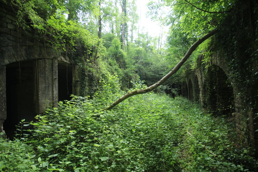 Intérieure de la cour