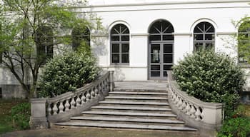 Braunschweig: die Freitreppe auf der Gartenseite der Villa von Bülow.