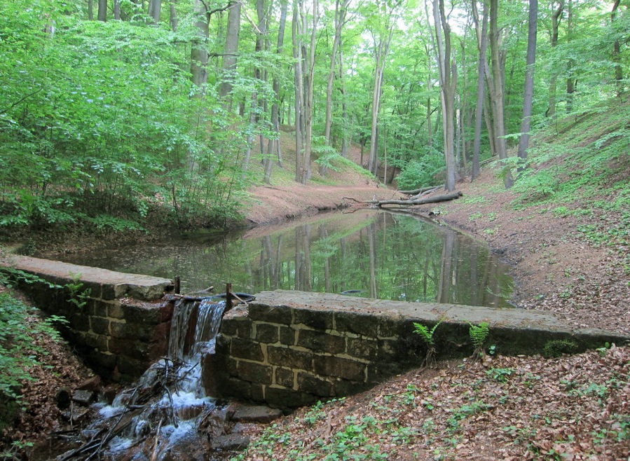 Oberer Teich der Fischmannsteiche des Eisenbornbaches in der Dresdner Heide.