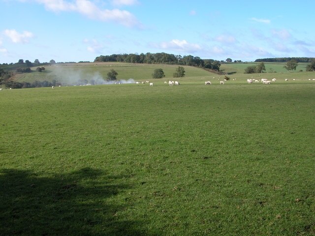 Foto „Swell“ von Philip Halling (CC BY-SA)/zugeschnittenes Original