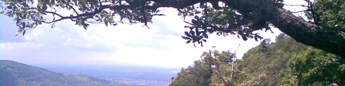 Photo "Battertfelsen Baden-Baden, Schwarzwald, black forest, forêt noire" by Besenbinder (Creative Commons Attribution-Share Alike 3.0) / Cropped from original