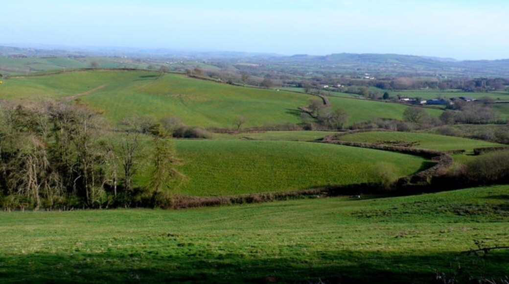 Foto "Bettiscombe" de Nigel Mykura (CC BY-SA) / Recortada do original