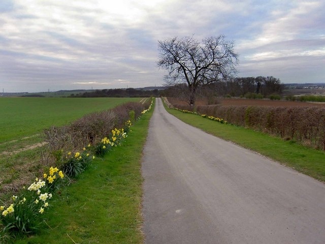 Private Road but Public Footpath