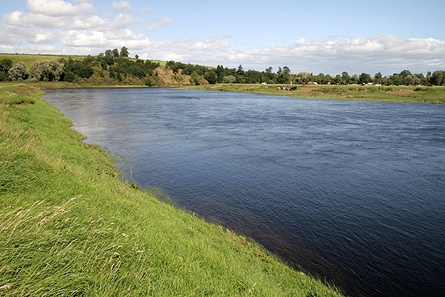 The River Tweed at Birgham Haugh Viewed from the west bank in Scotland while the cattle on the opposite side are in England.