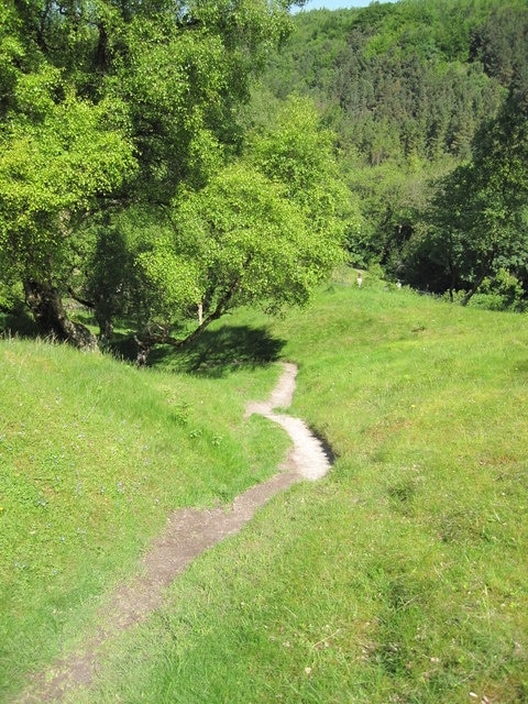 Footpath descending Bryn Alyn A very pleasant area, perhaps helped by very nice weather and my direction of travel!