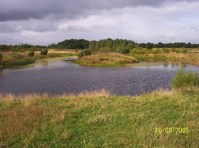 Woolsington Country Park. One of several ponds in Woolsington Country Park, not far from Newcastle Airport