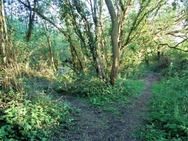 Billede "Pebworth" af David Luther Thomas (CC BY-SA) / beskåret fra det originale billede