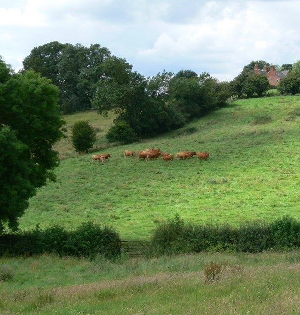 Billede "Goadby" af Mat Fascione (CC BY-SA) / beskåret fra det originale billede