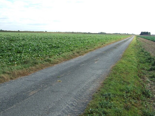 "Newton"-foto av Richard Humphrey (CC BY-SA) / Urklipp från original