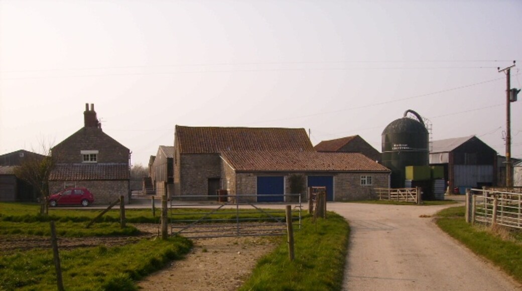 Photo "South Holme" by Phil Catterall (CC BY-SA) / Cropped from original