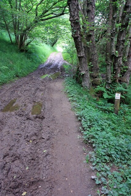 Kuva ”Newton” käyttäjältä Peter Church (CC BY-SA) / rajattu alkuperäisestä kuvasta