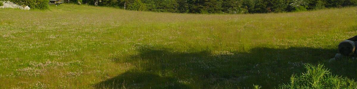 Photo "Col near Pierlas Village" by Santiago Puig Vilado… (Creative Commons Attribution-Share Alike 3.0) / Cropped from original