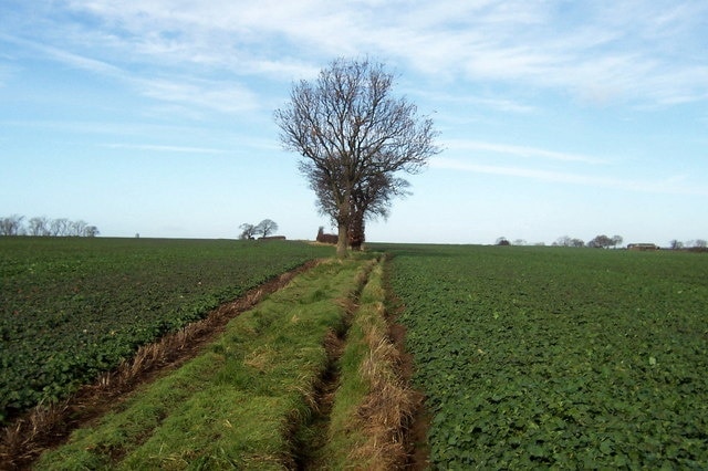 Foto “Swainby con Allerthorpe” tomada por Chris Heaton (CC BY-SA); recorte de la original