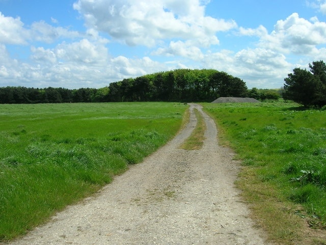 Track to Woodland North East of Cayton.