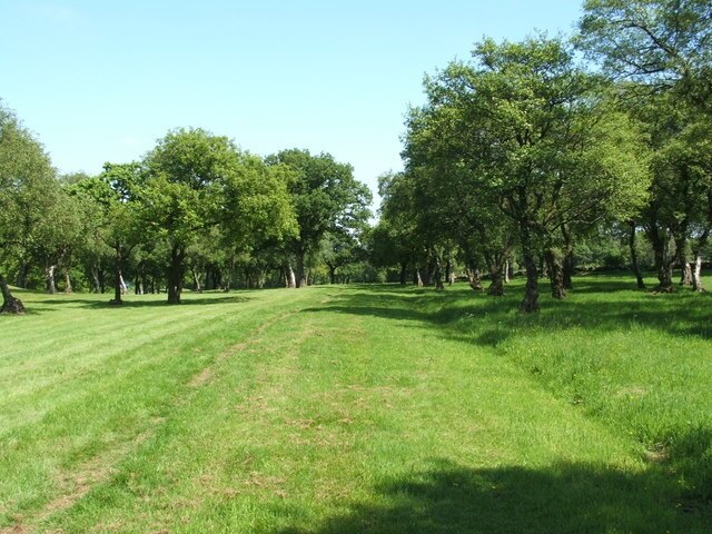 Military Way at Seabegs Wood At Seabegs Wood, a section of the Antonine Wall is clearly visible, but this site also has one of the best-preserved stretches of the Military Way, a military road that ran behind (i.e. south of) the rampart for the entire length of the frontier. The Military Way would have been used in the supply of forts and movement of troops. Though it is not conspicuous, it can be made out here at the highest part of the Seabegs Wood site. In this photo, taken while standing on the Military Way and looking eastward along its length, its route is visible as a grassy bank that spans the lower edge of the photo, and which recedes into the distance.