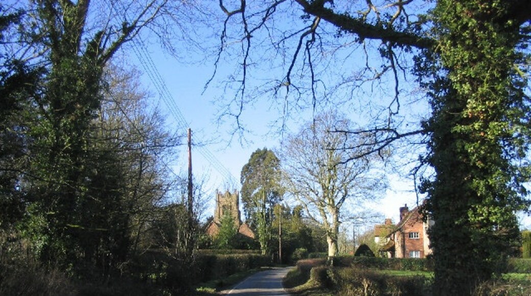 Kuva ”Chignall” käyttäjältä John Winfield (CC BY-SA) / rajattu alkuperäisestä kuvasta