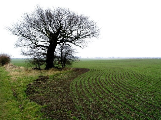 "Ellerby"-foto av Andy Beecroft (CC BY-SA) / Urklipp från original