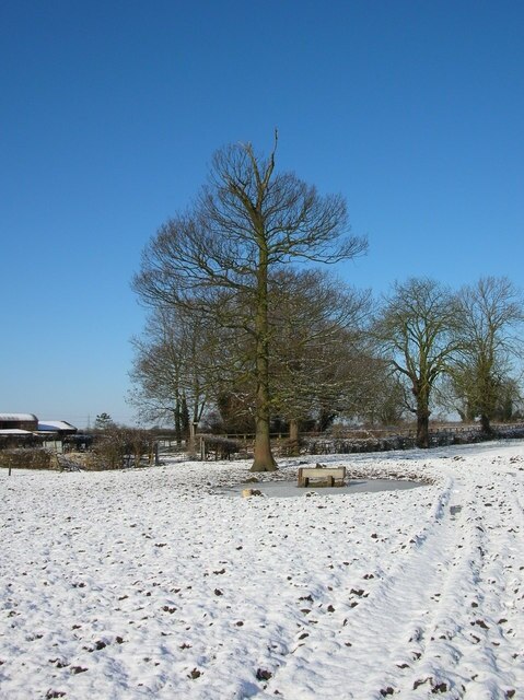 Foto “Murton” tomada por DS Pugh (CC BY-SA); recorte de la original