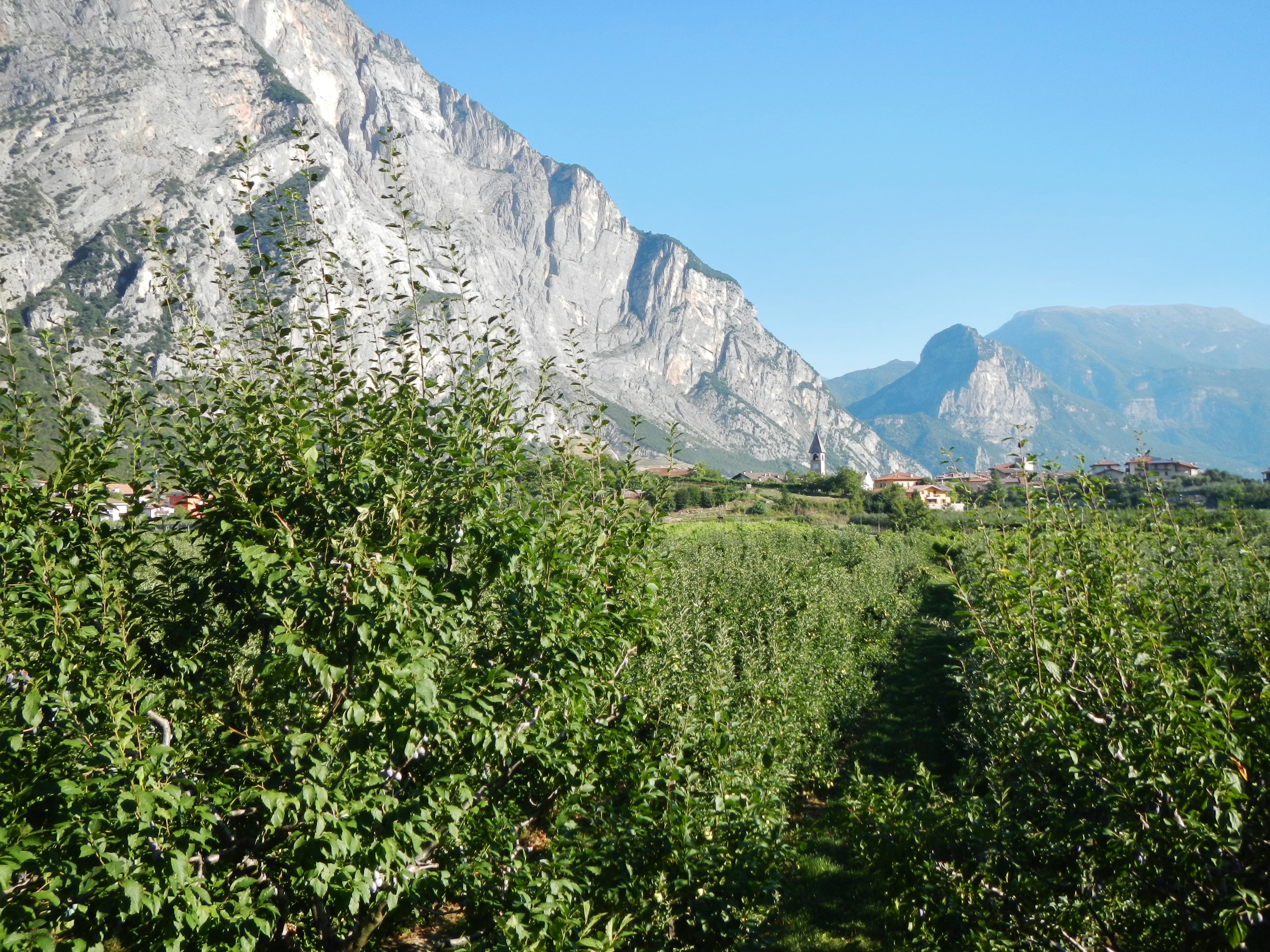 Pietramurata, Dro, Trentino Alto Adige, Italia