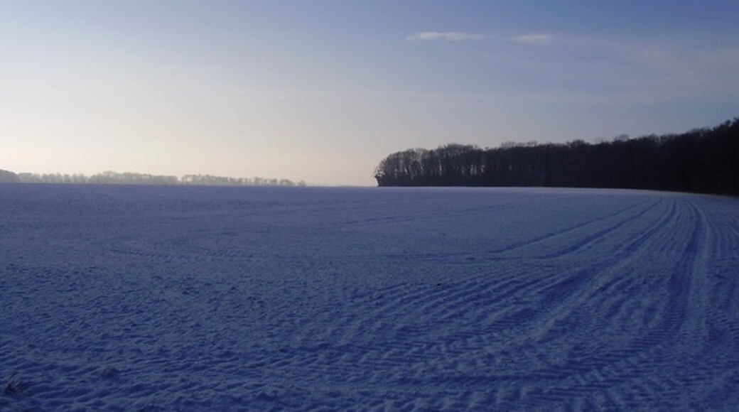 Photo "Firbeck" by steven ruffles (CC BY-SA) / Cropped from original