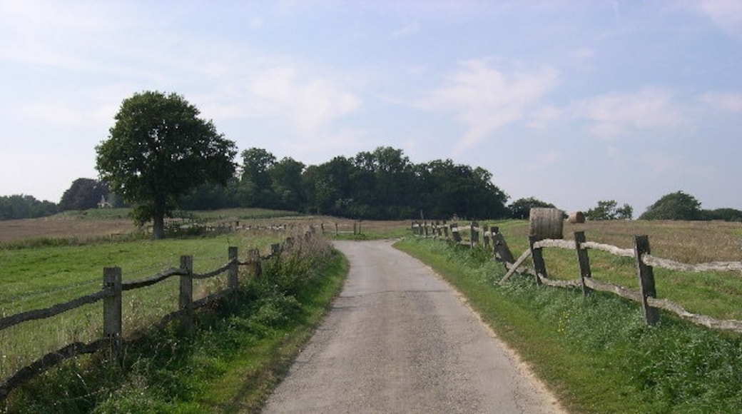 Photo "Cowfold" by Kate Cole (CC BY-SA) / Cropped from original