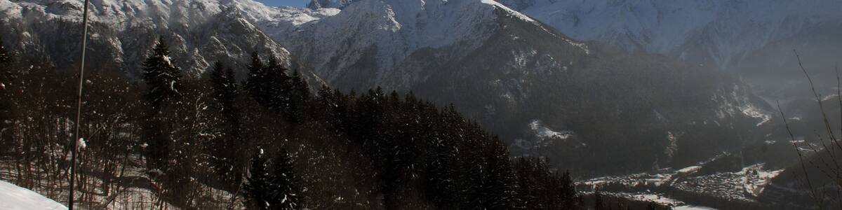 Photo "Plaine Joux 1350 m looking South-East to the Mont-Blanc chain" by Henk Monster (Creative Commons Attribution 3.0) / Cropped from original