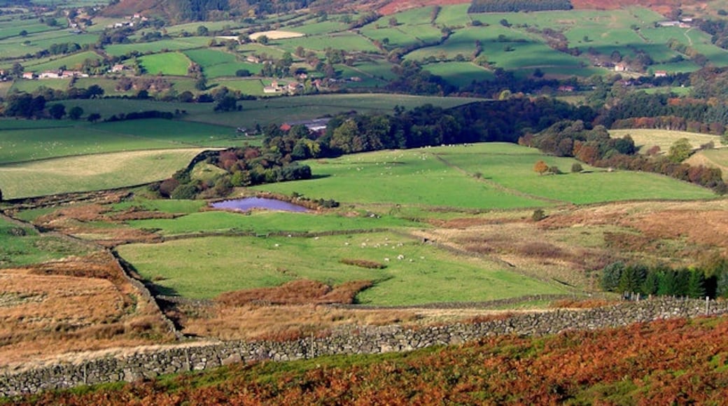 Billede "Bilsdale Midcable" af Scott Rimmer (CC BY-SA) / beskåret fra det originale billede