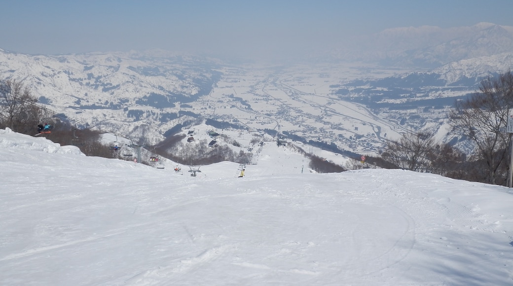 Foto "Resor Ski Naeba" oleh yuukokukirei (CC BY) / Dipotong dari foto asli