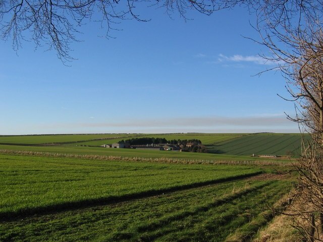 Photo "Luttons" by Stephen Horncastle (CC BY-SA) / Cropped from original