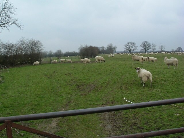 Foto “Warkton” tomada por Les Harvey (CC BY-SA); recorte de la original