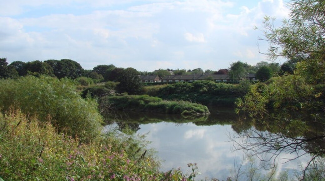 "Brotherton"-foto av Bill Henderson (CC BY-SA) / Urklipp från original