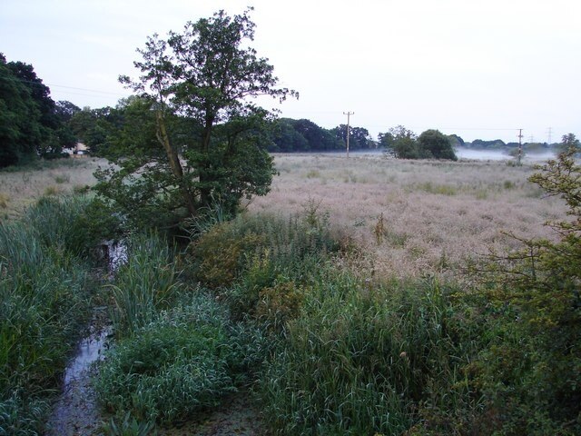 Photo "West Moors" by Ian Paterson (CC BY-SA) / Cropped from original