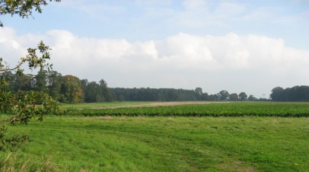 Sutton on the Forest Travel Guide: Best of Sutton on the Forest, York