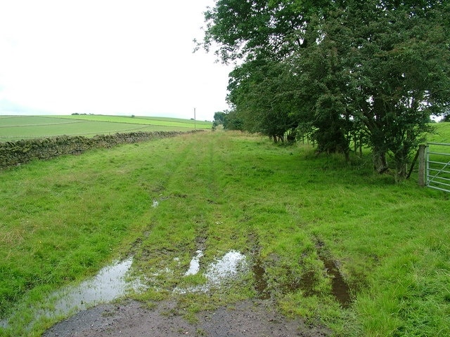 Foto “Crackenthorpe” tomada por David Brown (CC BY-SA); recorte de la original