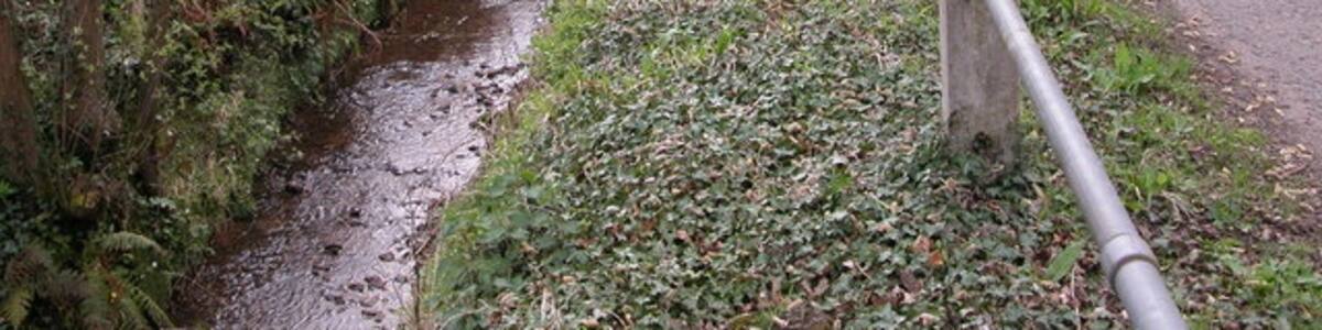 Photo "Ditch near Catson Ditch flowing along the roadside on the road from Bolstone to Little Dewchurch." by Philip Halling (Creative Commons Attribution-Share Alike 2.0) / Cropped from original