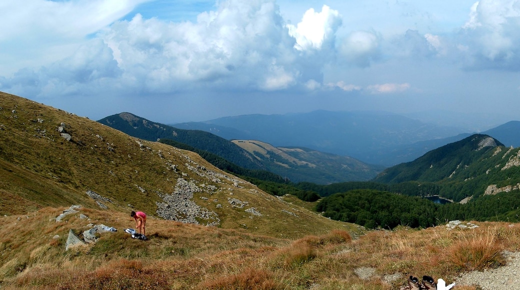 Foto „Appennino Tosco-Emiliano National Park“ von Budis Daniel (CC BY)/zugeschnittenes Original