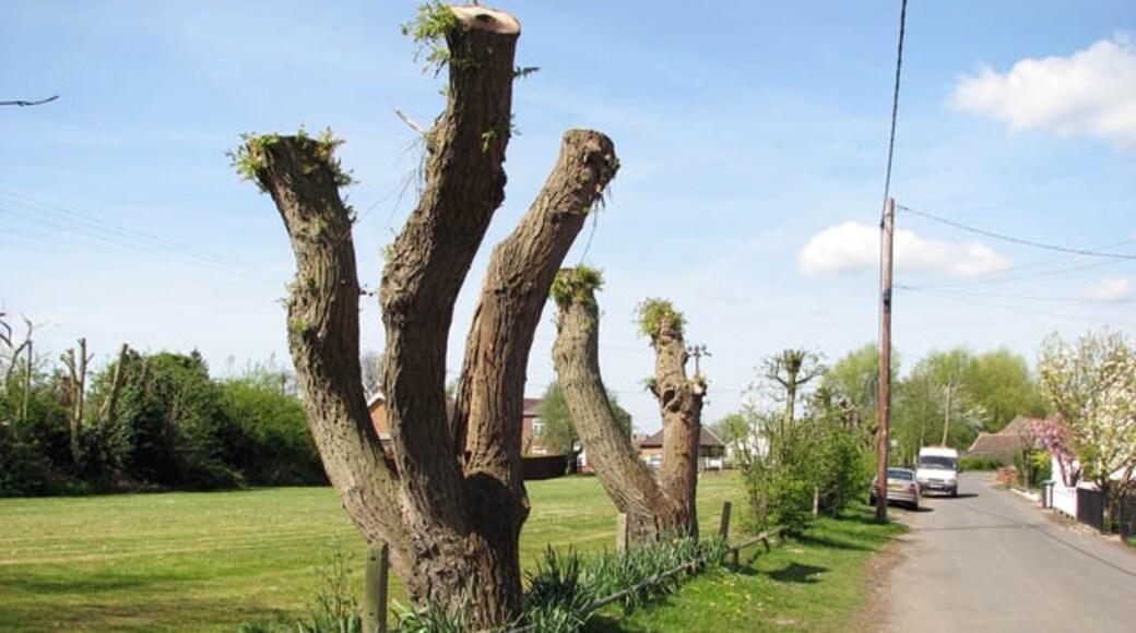 Ảnh "Làng Emneth" của Evelyn Simak (CC BY-SA) / Cắt từ ảnh gốc