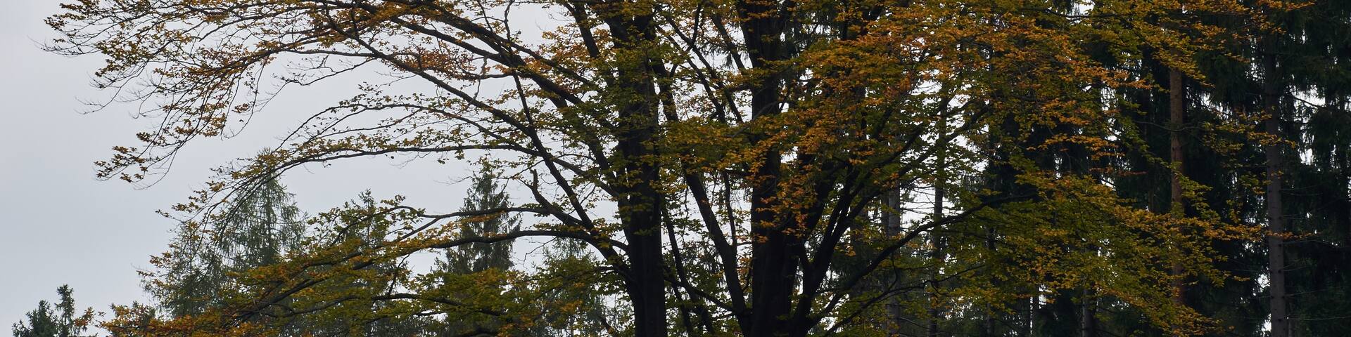 Wunsiedel, Bavaria, Germany