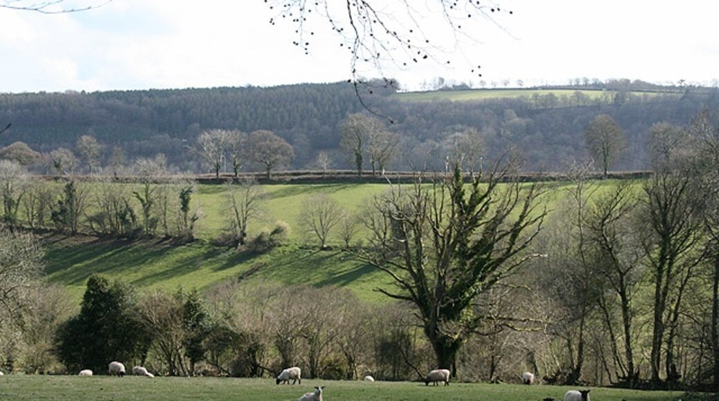 "Huish Champflower"-foto av Martin Bodman (CC BY-SA) / Urklipp från original