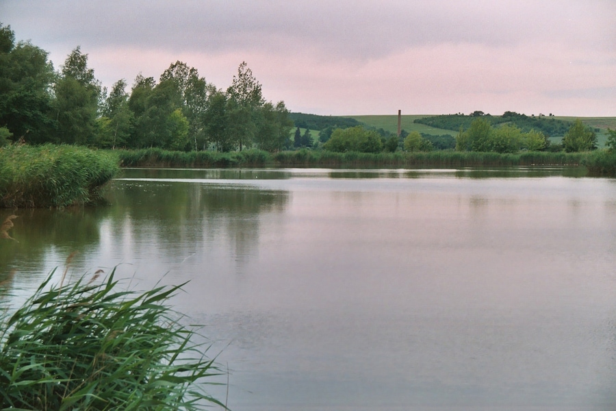 Gutenberg (Petersberg), view from the pond to Sennewitz