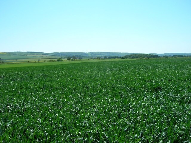 Ảnh "Willerby" của JThomas (CC BY-SA) / Cắt từ ảnh gốc